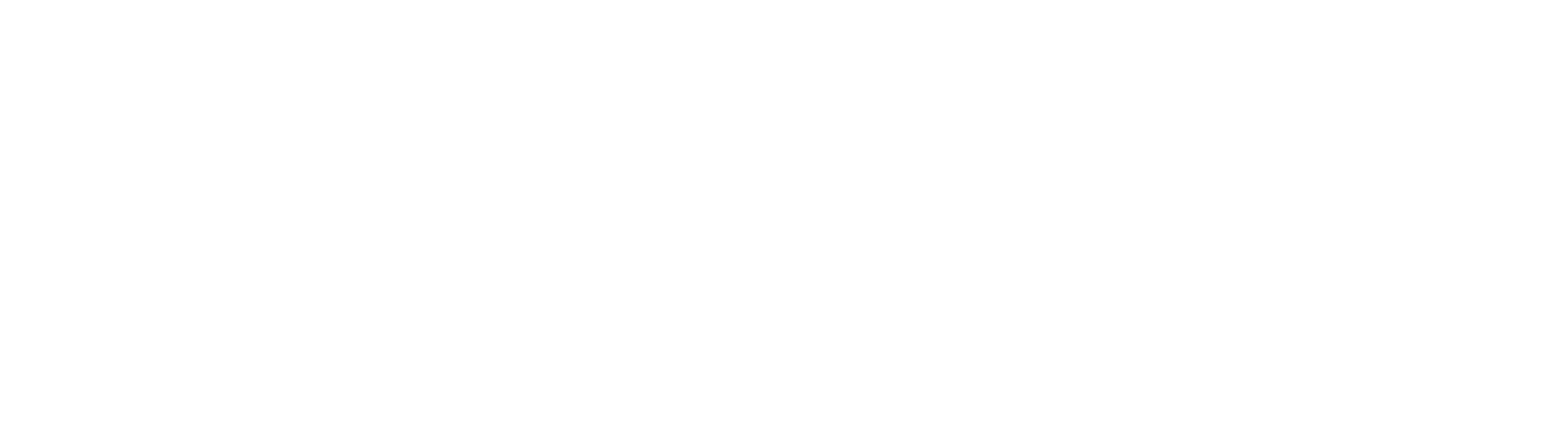 Mondal Associates Background